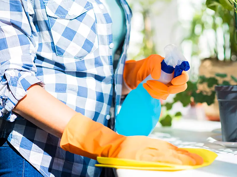 Flow Cleaning Services