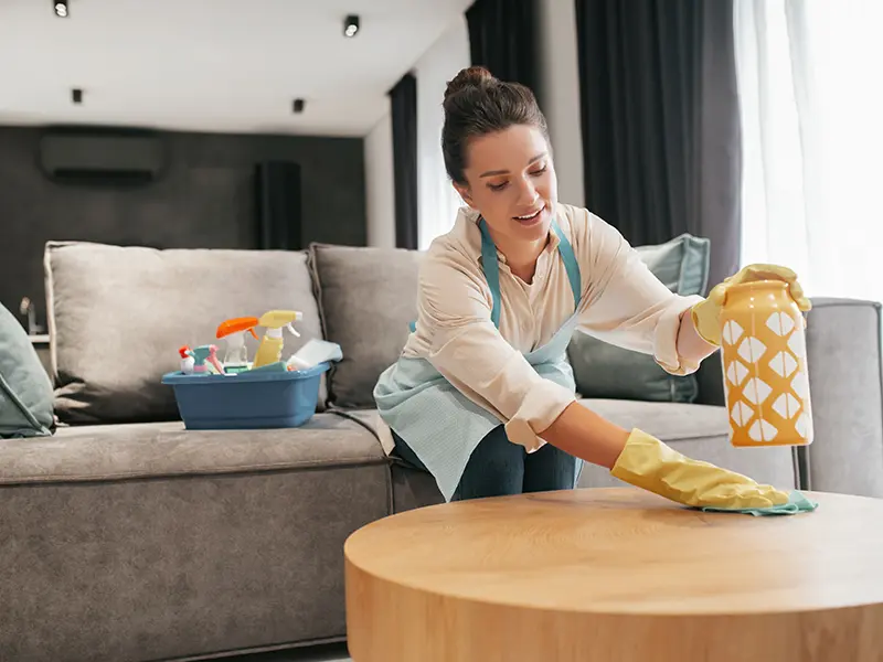 Flow Cleaning Services